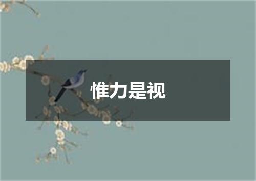 惟力是视