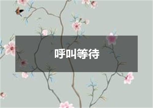 呼叫等待