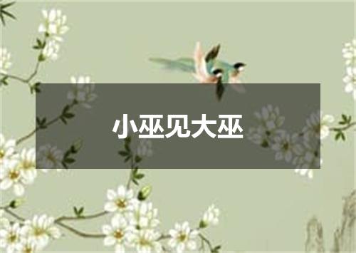 小巫见大巫