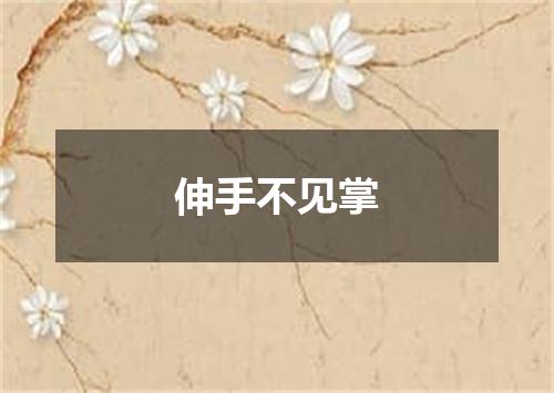 伸手不见掌