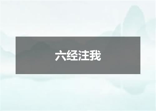 六经注我