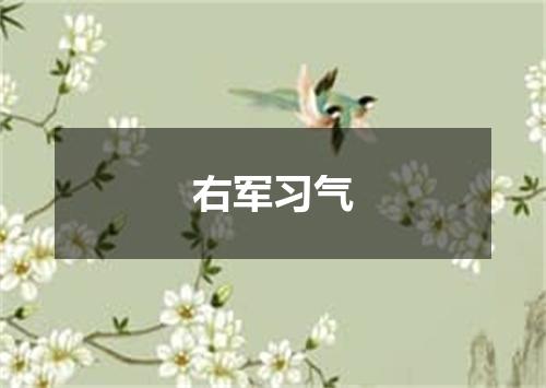 右军习气