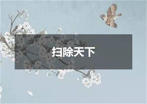 扫除天下