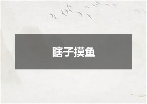 瞎子摸鱼