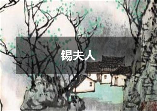 锡夫人