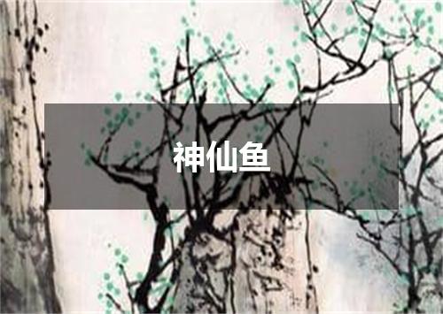 神仙鱼