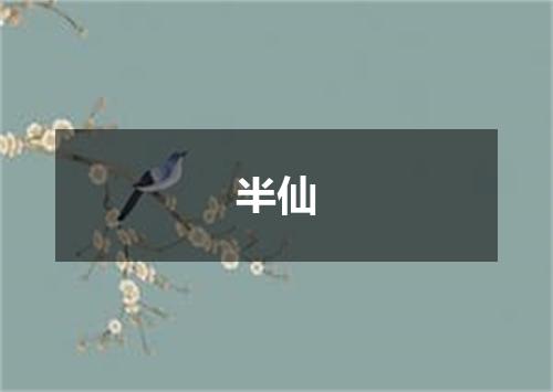 半仙