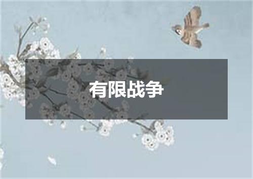 有限战争