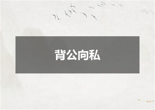 背公向私