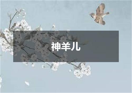 神羊儿