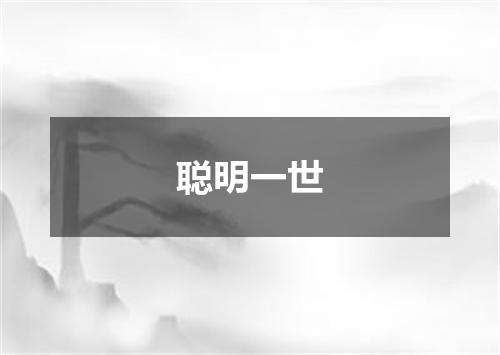 聪明一世