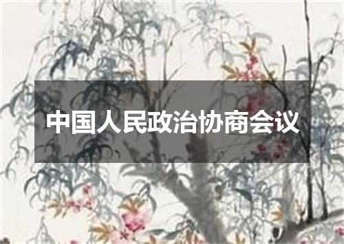 中国人民政治协商会议