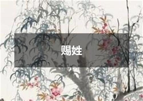 赐姓