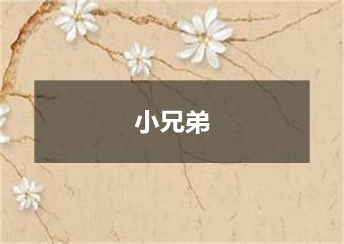 小兄弟