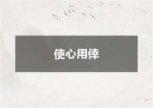 使心用倖