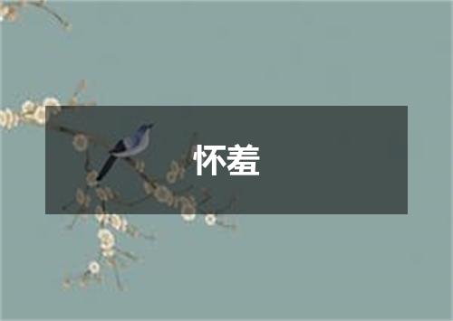 怀羞