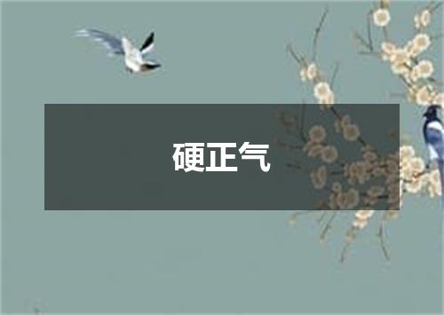 硬正气