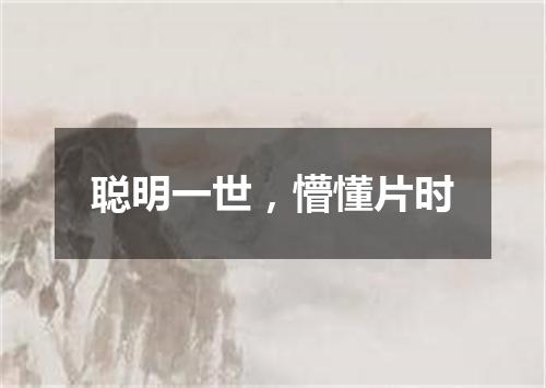 聪明一世，懵懂片时
