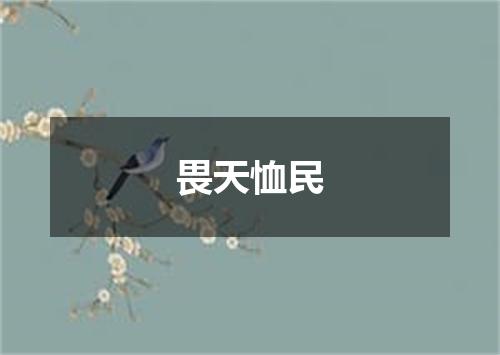 畏天恤民