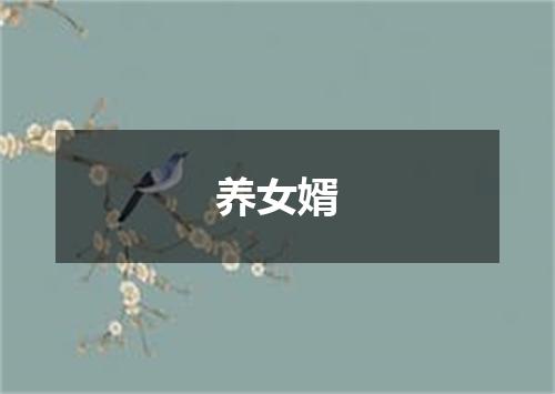 养女婿