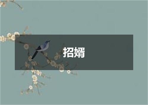 招婿
