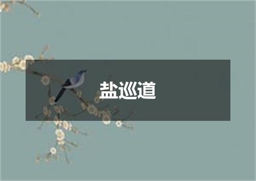 盐巡道