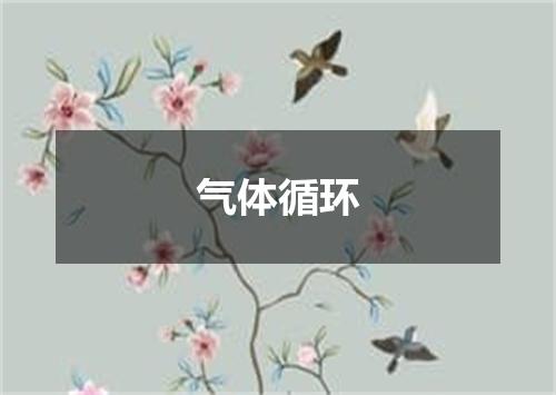 气体循环