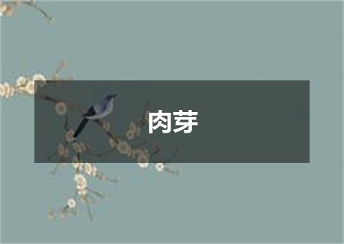 肉芽