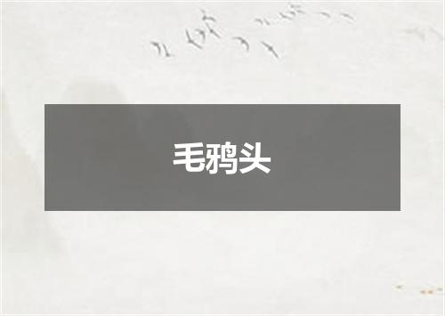 毛鸦头