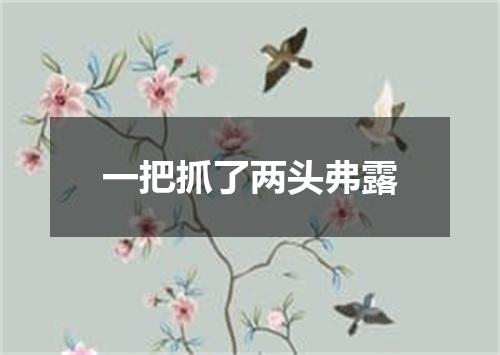 一把抓了两头弗露