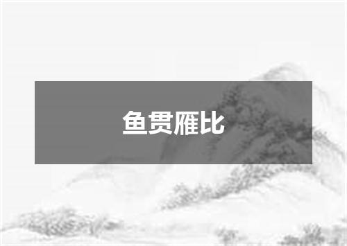 鱼贯雁比