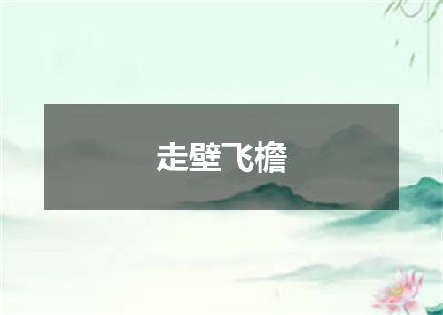 走壁飞檐