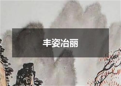 丰姿冶丽