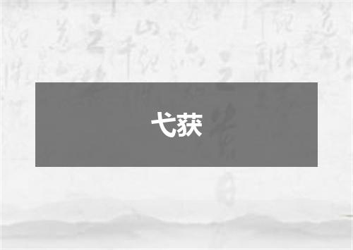 弋获