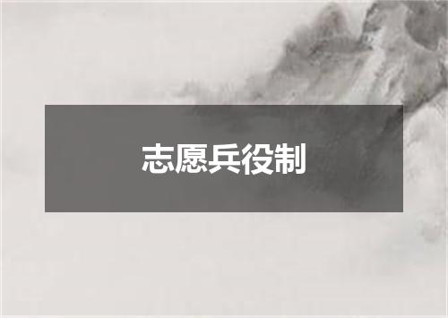 志愿兵役制