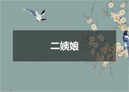 二姨娘