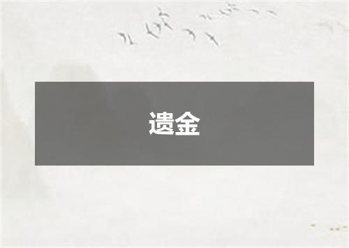 遗金