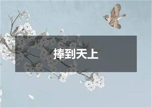 捧到天上