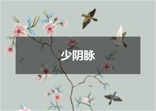 少阴脉