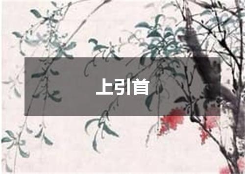 上引首