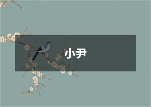小尹