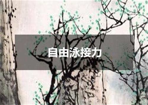 自由泳接力