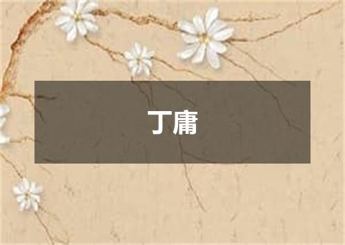 丁庸