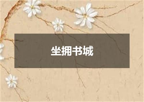 坐拥书城
