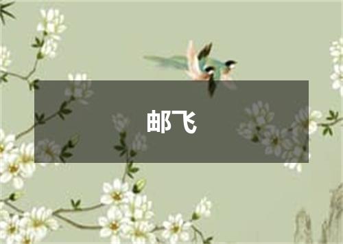 邮飞
