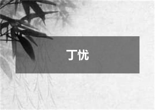 丁忧