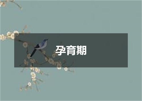 孕育期