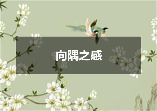 向隅之感