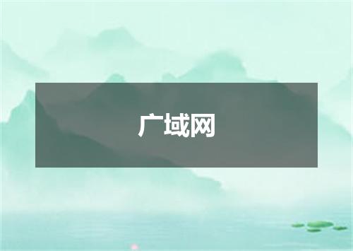 广域网