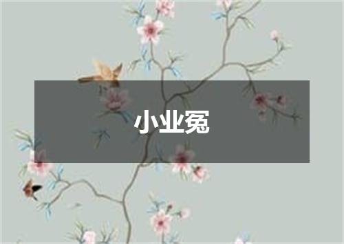 小业冤